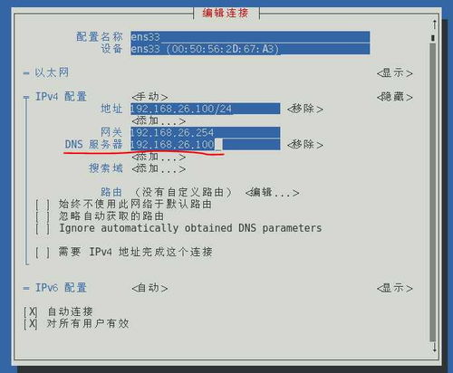 云南dns服务器虚拟主机（中国电信云南dns的服务器地址是多少）
