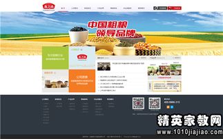 建设网站空间合同（网络建站合同）