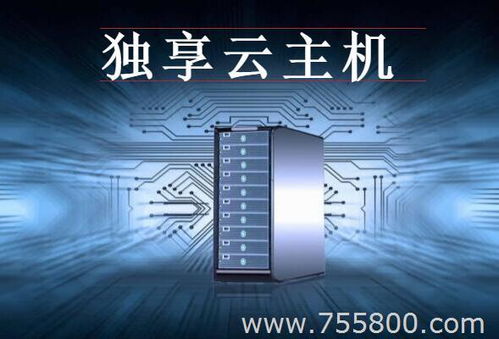 独享云主机（独享云服务器）