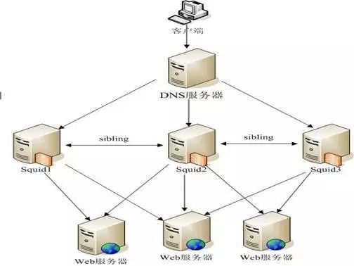 dns服务器一般写多少（dns一般为多少）