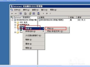 vps小说网站怎么搭建