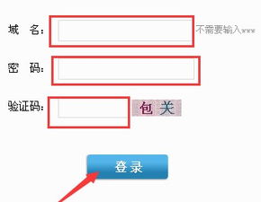 三丰服务器域名怎么改（三丰云域名解析）