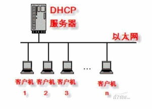 无系统服务器ip是什么情况（服务器没有ip地址）