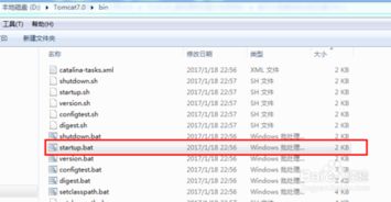 怎么把大视频放到服务器上（一般服务器的视频怎么放置）
