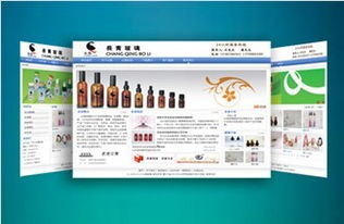 网站空间维护（网站的建设与维护）