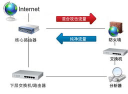 服务器被dos是什么（服务器的dos是什么意思）