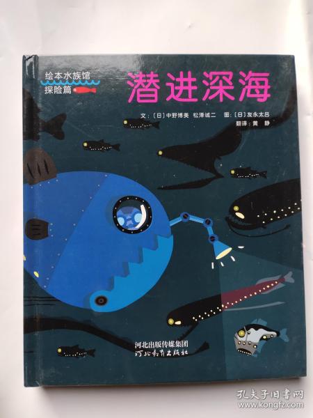 服务器扔进深海怎么用呢（如何进入深海）