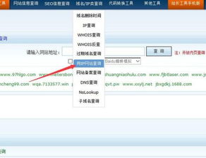 怎么知道网站空间ip地址（网站的ip地址怎么看）