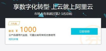 阿里云服务器支持过户吗（阿里巴巴能不能过户）