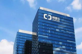 阿里云宕是什么意思（阿里云ecs是什么意思）