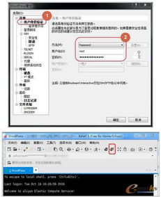 阿里云服务器是Apache（阿里云服务器是哪家公司的）