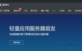 香港虚拟主机阿里云,阿里云香港虚拟主机稳定吗