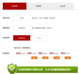 网站空间主机费多少钱一年（网站空间服务器费用）