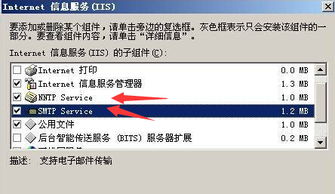 自建服务器有什么用处（自建服务器需要什么）