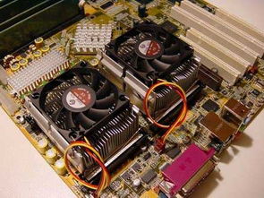 双cpu服务器注意什么（服务器双CPU）