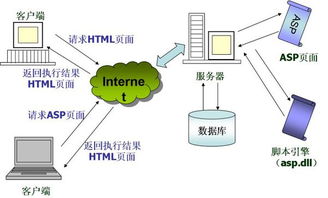 web服务器实质是什么（web服务器指的是什么）
