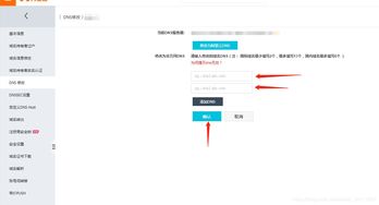 阿里云怎么设置dns服务器（阿里云配置dns）