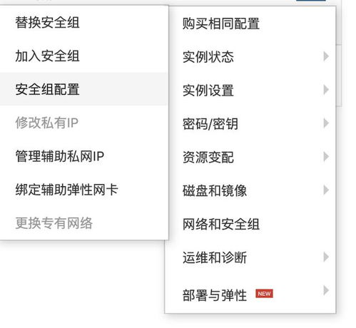 购买服务器以后如何获得域名（购买了域名怎么使用）