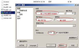 传到vps服务器（上传文件到vps）