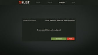 rust服务器图像怎么设置（rust服务器配置）