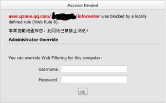怎么绕过公司服务器上网,服务器如何控制公司上网行为
