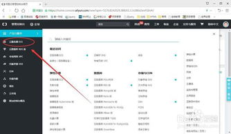 云服务器登录后怎么用,如何登录云服务
