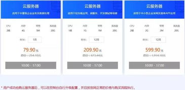 白菜云主机,大白菜联网下系统