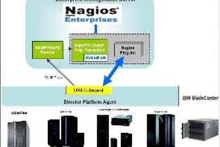 linux服务器学什么,服务器用什么linux