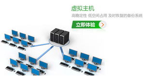 哪里有虚拟主机招商项目平台,服务器招商