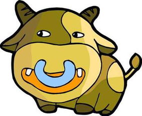 2017年32岁属什么