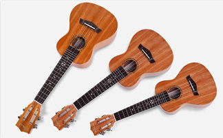 容易学的乐器是什么