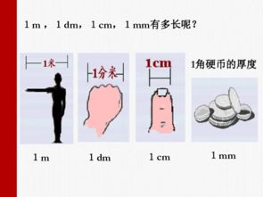 脖子长度如何测量 怎么测量脖子