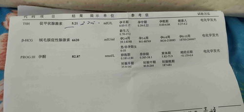 大连亲子鉴定，大连亲子鉴定需要多少钱