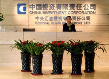 中投公司是怎样的公司?