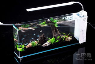 我想知道水族箱是怎么制作的?还有生态鱼缸是怎么制作的?