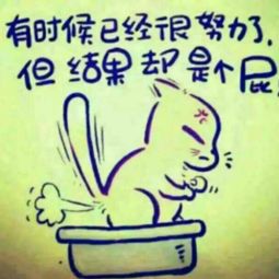 披星戴月的意思?