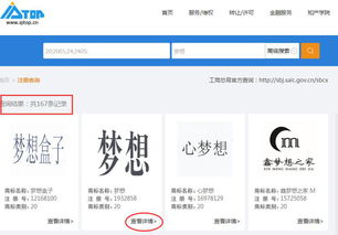 如何查品牌是否注册，品牌注册查询