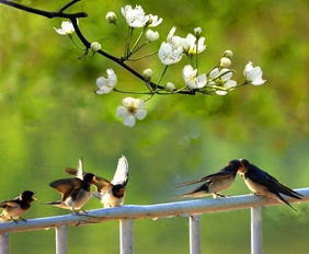 春夏秋冬的好词，春夏秋冬的好词好句好段摘抄大全