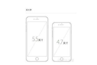 手机尺寸一般是多少