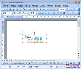 word文档里的图片怎么旋转方向