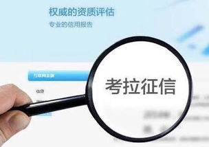 拉卡拉商户登录，拉卡拉商户登录网址