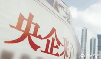 央企和国企的区别，央企和国企的区别,哪个待遇好