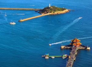 青岛多少度，青岛多少度啤酒