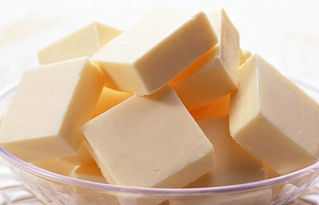 起司和芝士的区别，起司和芝士的区别是什么