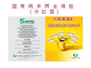 太平盈盛两全保险，太平盈盛两全保险b款分红型