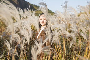 惊涛澎湃的意思，惊涛澎湃的意思和造句