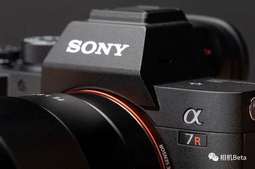 a7r5，a7r5细胞