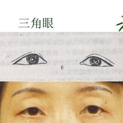 三角眼图片，三角眼图片男生