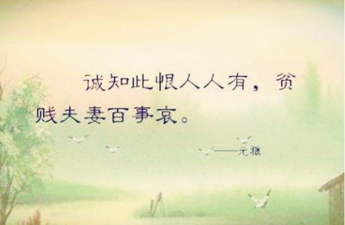 贫贱夫妻百事哀是啥意思?