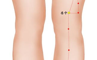 冲脉的准确走向位置图，任脉的准确走向位置图